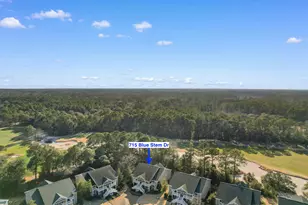 715 Blue Stem Dr, Pawleys Island, SC 29585 - Photo 37