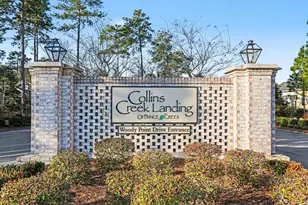 20 Pigeon Forge Ct, Murrells Inlet, SC 29576 - Photo 37