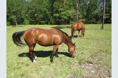 4013 Thomas Rd., Little River, SC 29566 - Photo 5