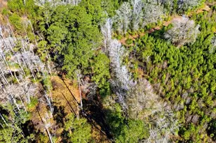 1850 Pitch Landing Rd, Conway, SC 29527 - Photo 69