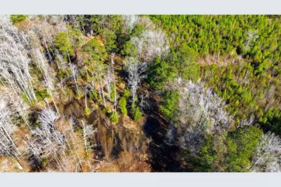 1850 Pitch Landing Rd., Conway, SC 29527 - Photo 71