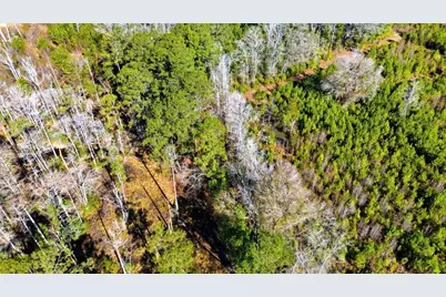 1850 Pitch Landing Rd., Conway, SC 29527 - Photo 69