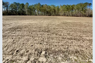 2249 Joann Branch Rd., Lake View, SC 29563 - Photo 3