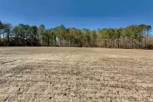 2249 Joann Branch Rd, Lake View, SC 29563 - Photo 3