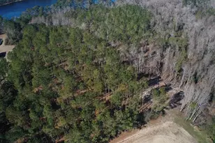 2249 Joann Branch Rd, Lake View, SC 29563 - Photo 27