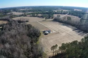 2249 Joann Branch Rd, Lake View, SC 29563 - Photo 31