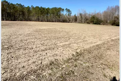2249 Joann Branch Rd., Lake View, SC 29563 - Photo 5