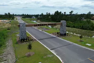 3029 Berry Bush Way, Conway, SC 29526 - Photo 3