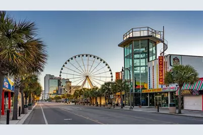 3029 Berry Bush Way, Conway, SC 29526 - Photo 5