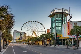 3028 Berry Bush Way, Conway, SC 29526 - Photo 5