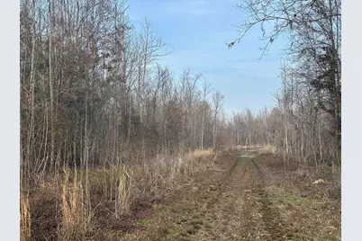 Tbd Hunters Chapel Rd, Ehrhardt, SC 29081 - Photo 33