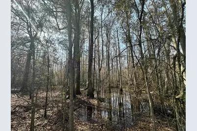 Tbd Hunters Chapel Rd, Ehrhardt, SC 29081 - Photo 41