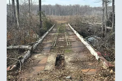 Tbd Hunters Chapel Rd, Ehrhardt, SC 29081 - Photo 45