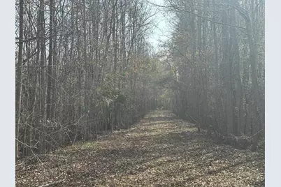 Tbd Hunters Chapel Rd, Ehrhardt, SC 29081 - Photo 43