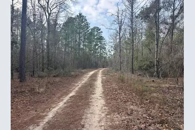 Tbd Hunters Chapel Rd, Ehrhardt, SC 29081 - Photo 27