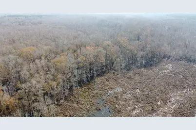 Tbd Hunters Chapel Rd, Ehrhardt, SC 29081 - Photo 15