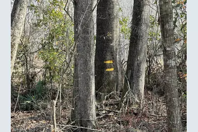 Tbd Hunters Chapel Rd, Ehrhardt, SC 29081 - Photo 35