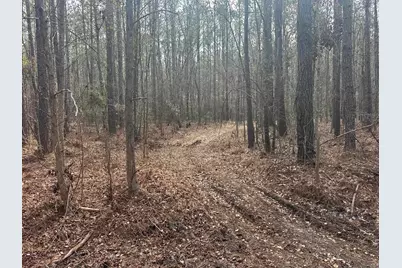 Tbd Hunters Chapel Rd, Ehrhardt, SC 29081 - Photo 25