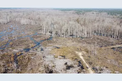 Tbd Hunters Chapel Rd, Ehrhardt, SC 29081 - Photo 17