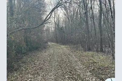 Tbd Hunters Chapel Rd, Ehrhardt, SC 29081 - Photo 29