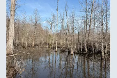 Tbd Hunters Chapel Rd, Ehrhardt, SC 29081 - Photo 55