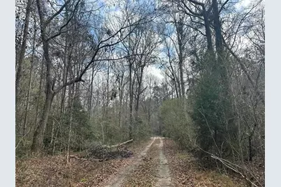 Tbd Hunters Chapel Rd, Ehrhardt, SC 29081 - Photo 23