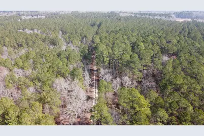 Tbd Hunters Chapel Rd, Ehrhardt, SC 29081 - Photo 11