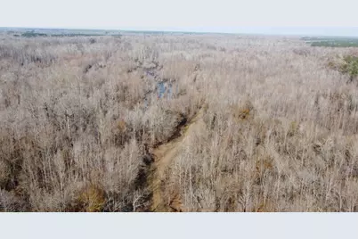 Tbd Hunters Chapel Rd, Ehrhardt, SC 29081 - Photo 5