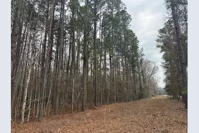 Tbd Hunters Chapel Rd, Ehrhardt, SC 29081 - Photo 21