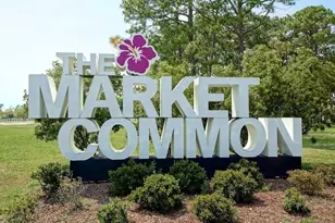 281 Ridge Pointe Dr, Conway, SC 29526 - Photo 57