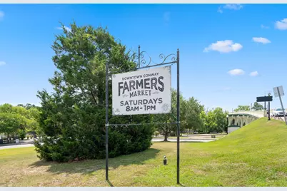 708 Walking Fern Ct., Conway, SC 29526 - Photo 39