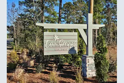 394 Hadley Springs Ave, Longs, SC 29568 - Photo 33