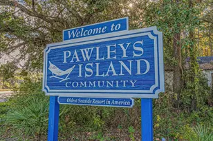 548 Arcadia Rd, Pawleys Island, SC 29585 - Photo 59