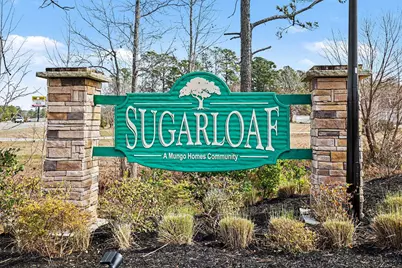 330 High Falls Dr., Conway, SC 29526 - Photo 29