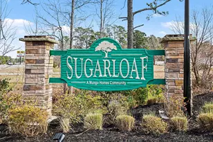 330 High Fls Dr, Conway, SC 29526 - Photo 29