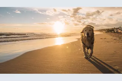 1328 Beach Way Ln., North Myrtle Beach, SC 29582 - Photo 15