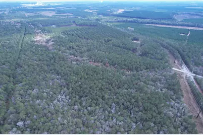 Tract D - Tbd Pennyroyal Rd., Georgetown, SC 29440 - Photo 5