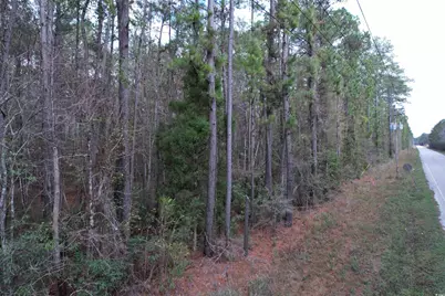 Tract D - Tbd Pennyroyal Rd., Georgetown, SC 29440 - Photo 9