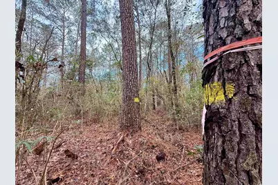 Tract D - Tbd Pennyroyal Rd., Georgetown, SC 29440 - Photo 11