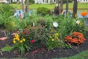 237 St David's Ave, Myrtle Beach, SC 29588 - Photo 41