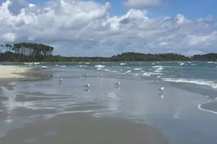 6309 N Ocean Blvd, North Myrtle Beach, SC 29582 - Photo 47