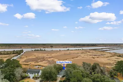 75 Duck Pond Pl., Georgetown, SC 29440 - Photo 41