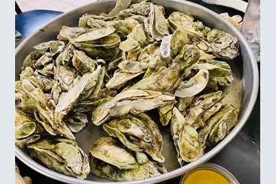 75 Duck Pond Pl., Georgetown, SC 29440 - Photo 51