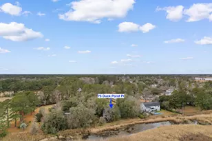 75 Duckpond Pl, Georgetown, SC 29440 - Photo 37