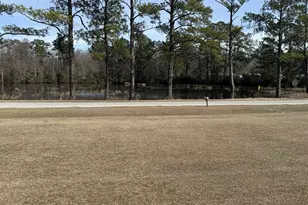 2259 Python Cir, Conway, SC 29526 - Photo 21