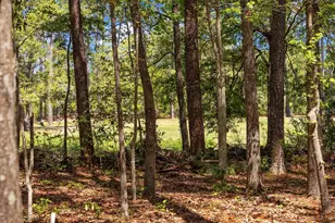 4542 Firethorne Dr, Murrells Inlet, SC 29576 - Photo 37