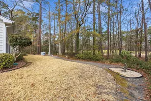 4542 Firethorne Dr, Murrells Inlet, SC 29576 - Photo 33