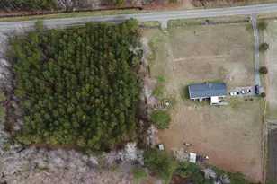 6049 Hwy 389, Nichols, SC 29581 - Photo 29