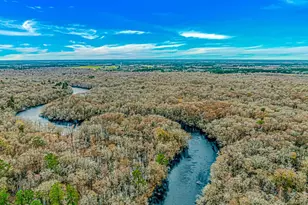4247 Black Island Rd, Galivants Ferry, SC 29544 - Photo 29