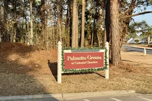 199 Palmetto Green Dr, Longs, SC 29568 - Photo 37